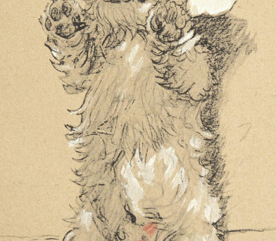 Sealyham Terrier,Captain John Tucker-Edwarde