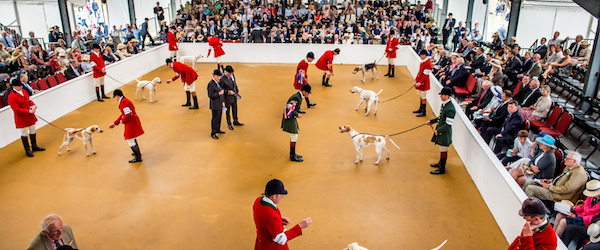 hounds,,Lycetts Festival of Hunting