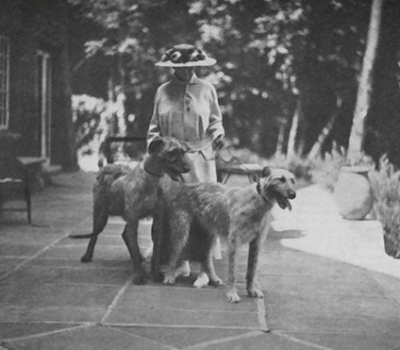 Mary Raymond Shipman Andrews, Irish Wolfhound,Filid