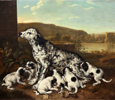 Dalmatian, illustrator Life Magazine, Stevan Dohanos