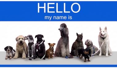 names