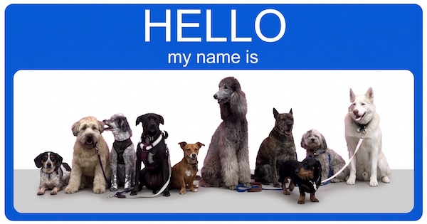 names