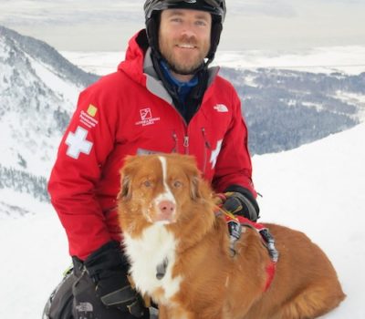 Nova Scotia Duck Tolling Retriever,Avalanche dog,Alyeska Ski Patrol Avalanche Canine Program