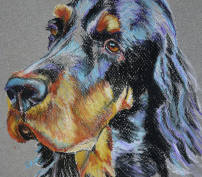 Gordon Setter,Gordon Castle Setter,Castle Setter,Thomas William Coke,Alexander Gordon,4th Duke of Gordon,Cock o' the North