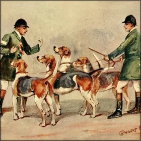 Foxhound of the -Fellhounds, Gazehounds,Masters of Basset Hounds Association,Bloodhounds, Basset Hounds, Beagles, Draghound,"Festival of Hunting",Peterborough Royal Foxhound Show Society