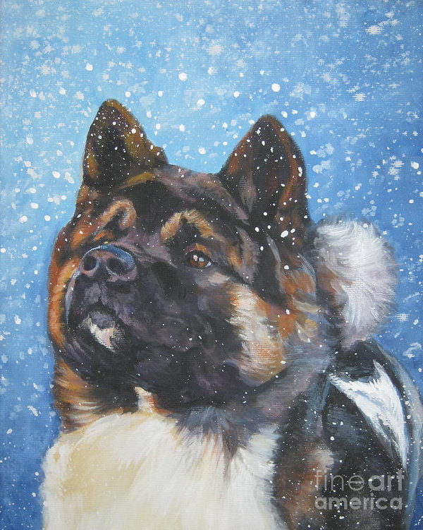 Akita, weather,Snow Country Dogs