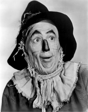 Gordon Setter,Old English Sheepdog,brain,standard, Wizard of Oz, Ray Bolger