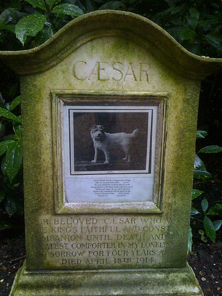 Fox Terrier,King Edward VII, Caesar,Stinky