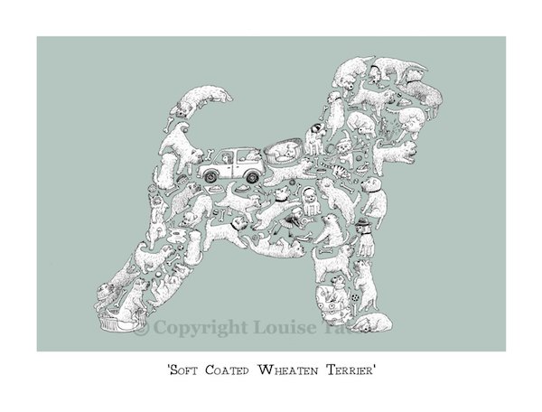 Soft Coated Wheaten Terrier, Poor Man’s Wolfhound,Wheaten Greetin
