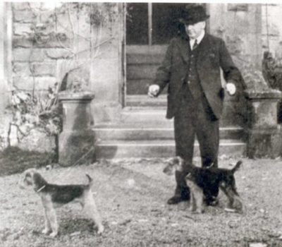 Lakeland Terrier,Lakie,History,Patterdale,Coloured Working Terrier, Cumberland, Westmoreland Terrier