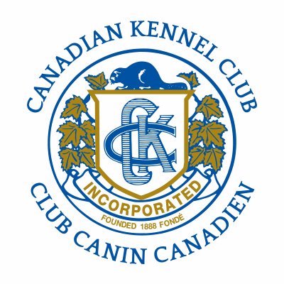 Bloodhound,logo, kennel club