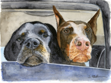 Doberman Pinscher,drill team,Karl Frederich Louis Dobermann