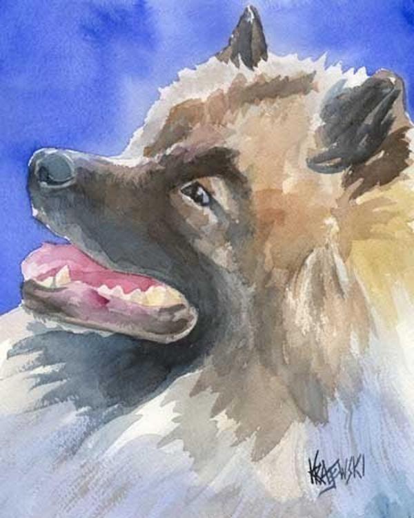 Keeshond,Wolfspitzen, Chiens Loup, Lupin,Fox-Dogs, Dutch Barge Dogs, overweight Pomeranians,Cornelius de Gyzelaar