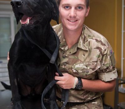 Military Dog, War Dog, Labrador Retriever, Dicken Medal, Hobo, Gurkha,Royal Gurkha Rifles