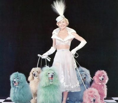 Doris Day, animal rights, PETA, hsus, Que Sera, Sera, TV, movies,