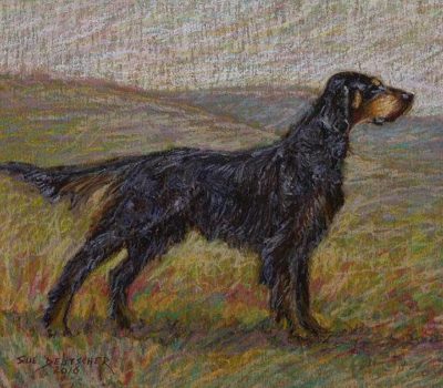 Gordon Setter, memory