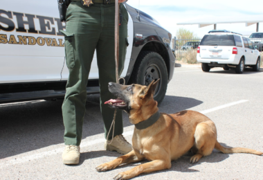 Belgian Laekenois, Belgian Malinois, war dog, military dog, police dog