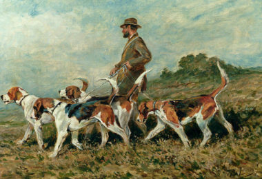 Foxhound, Beagle, Harrier,