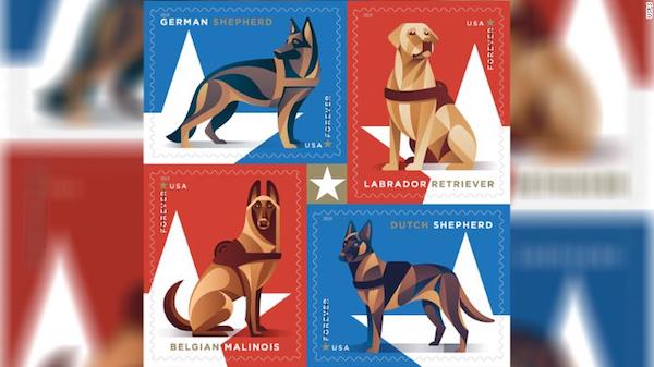 stamps,Dutch Shepherd, Labrador Retriever, German Shepherd Dog, Belgian Malinois