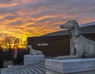 Saluki, mascot,Southern Illinois University,King Tut