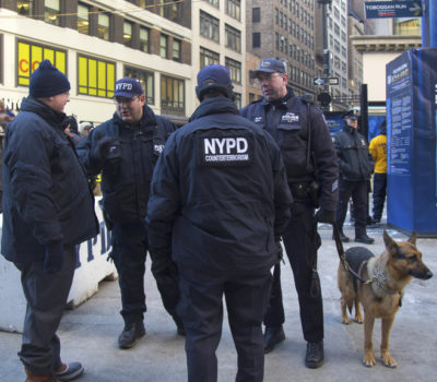 Belgian Malinois,German Shepherd,National Police Dog Foundation,state dog,New York City State Dog,