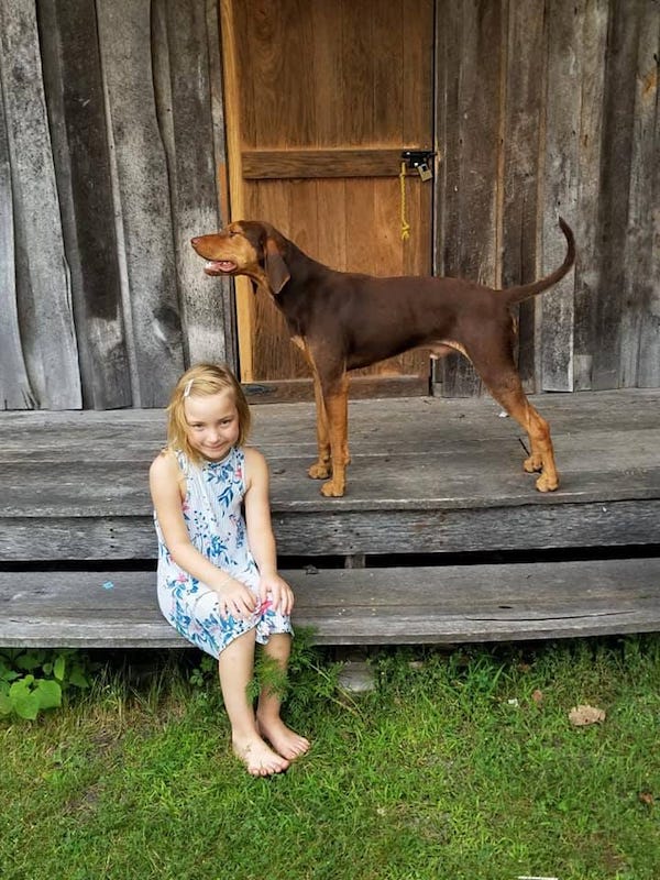 american leopard hound colors