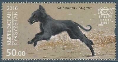 bourki,Kirghiz Borzoi,Kirghiz Greyhound,Kirgiskaya Borzaya,Kyrgyzdyn Taighany,Taigan