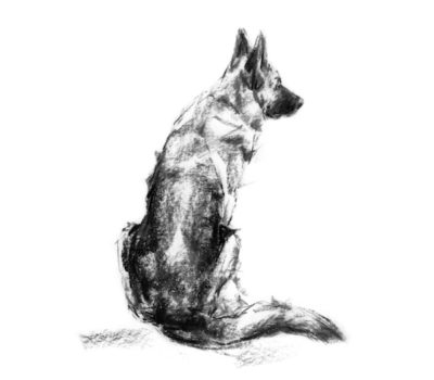 German Shepherd Dog,Luchs,Max Emil Friedrich von Stephanitz,Horand von Grafrath,Phylax Society