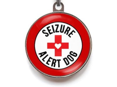 seizure alert dog, Cane Corso