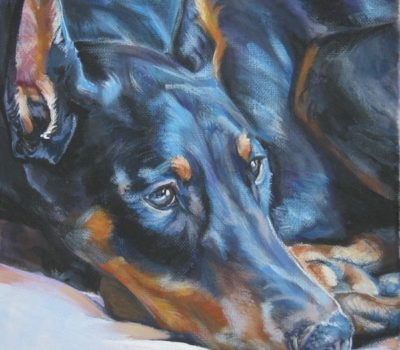 The Blue Doberman, color,Doberman Pinscher,Blue Doberman Syndrome,Blue Balding Syndrome