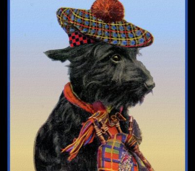 Scottish Terrier, tam o' shanter,history,advertising