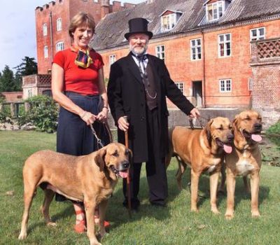 Danish Broholmer,Danish Mastiff,Count Sehested of Broholm