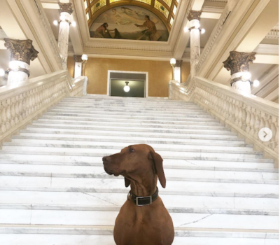 Vizsla, South Dakota, Beagle,Hazel, Labrador Retriever,sculpture,governor,Kristi Lynn Noem,Niles Boe,Mike Rounds