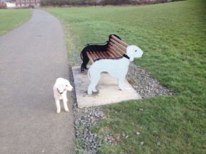Bedlington Benches