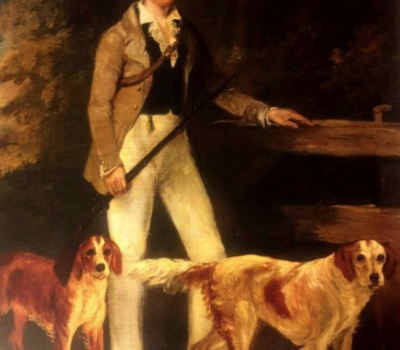 Rossmore Setter,Arran Setter,Irish Red and White Setter, Captain A. M. Stewart of Donegal