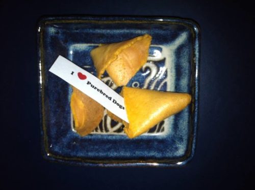 Japanese Chin,Edo period,fortune cookie