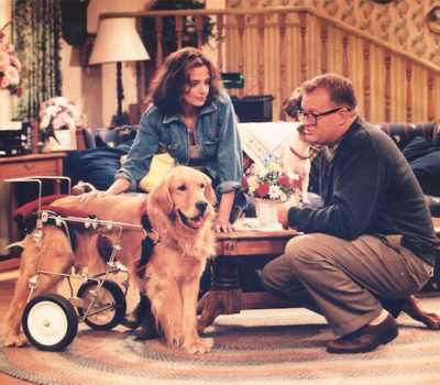 TV, television,Ajax,Drew Carey Show