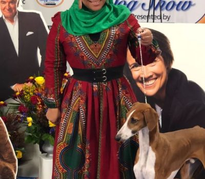 Azawakh, Aliya Taylor,National Dog Show