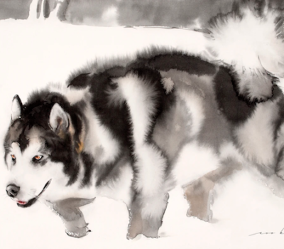 Alaskan Malamute, nordic breeds