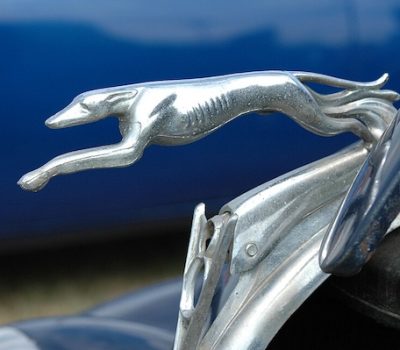 art,Greyhound,Lalique, Levrier, Prince George Duke of Kent