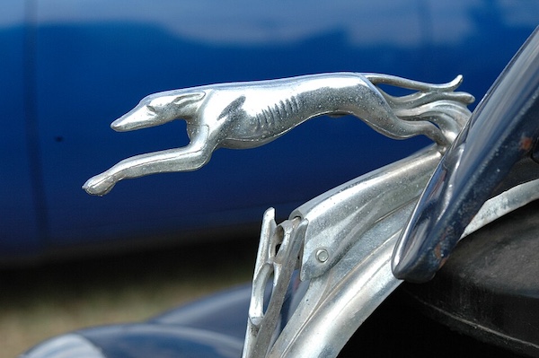 art,Greyhound,Lalique, Levrier, Prince George Duke of Kent