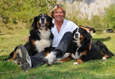 Bernese Mountain Dog,Saint Bernard,Hansi Hinterseer,Schlager Music,video,music