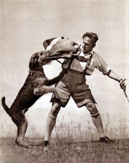 Airedale Terrier,police dog,British Colonel Edwin Hautenville Richardson
