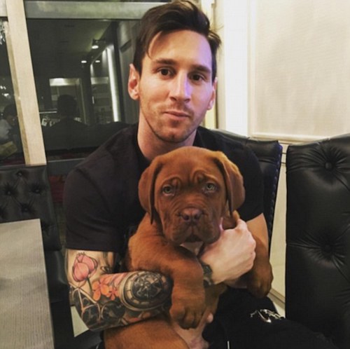 Dogue de Bordeaux,Lionel Messi,soccer