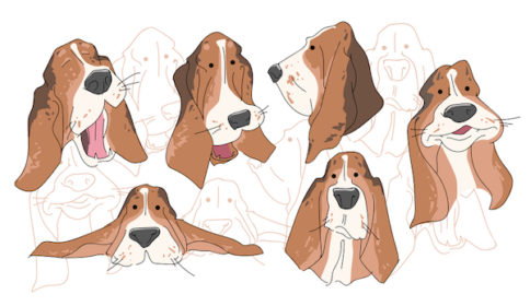 Beagle,Basset Hound,foot hound,beagling, basseting