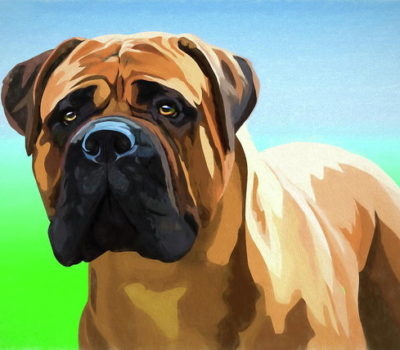 Bullmastiff,name,S.E. Moseley,Thorneywood Terror