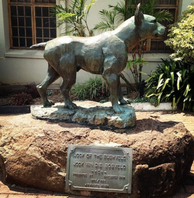 Jock of the Bushveld,literature, Staffordshire Bull Terrier