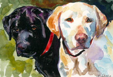 Labrador Retriever, Labrador Retriever Club of the Potomac