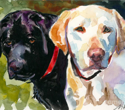 Labrador Retriever, Labrador Retriever Club of the Potomac