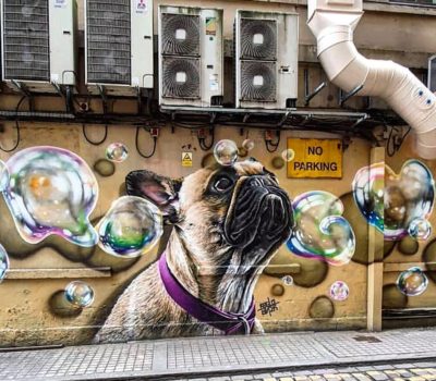 graffiti,art, rogue-one,street art,mural, french bulldog